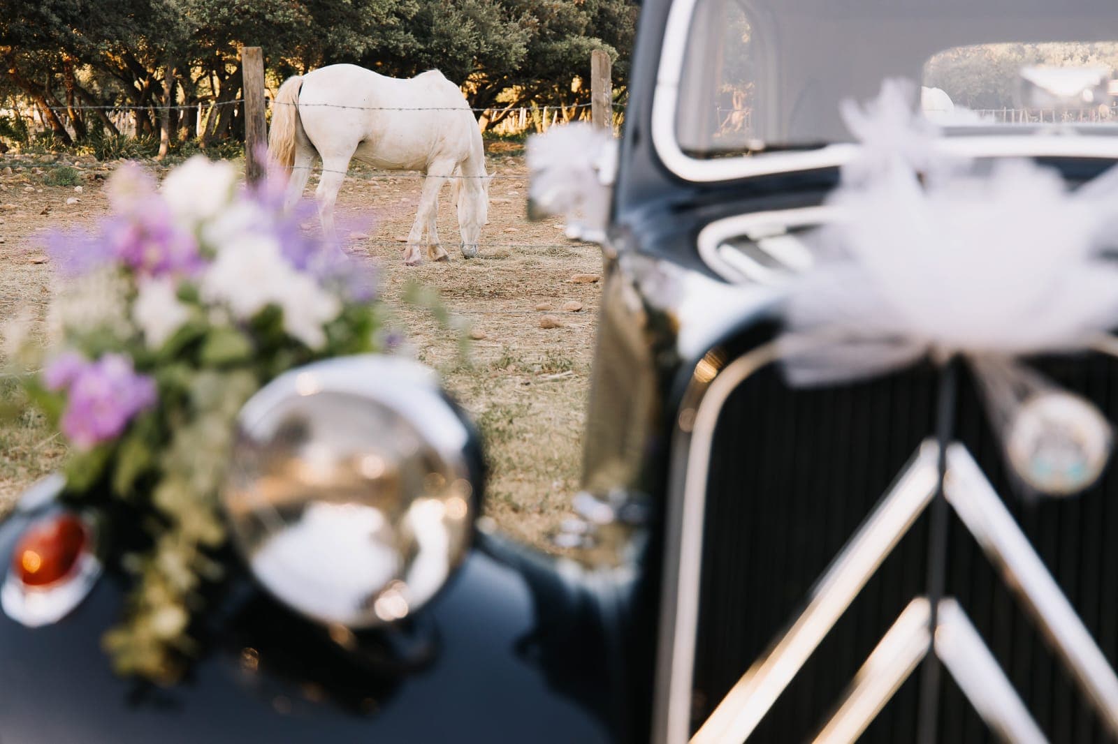 Citroën Traction 11B de 1952 avec fleurs pour mariage